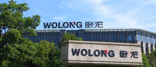 臥龍電氣集團股份有限公司